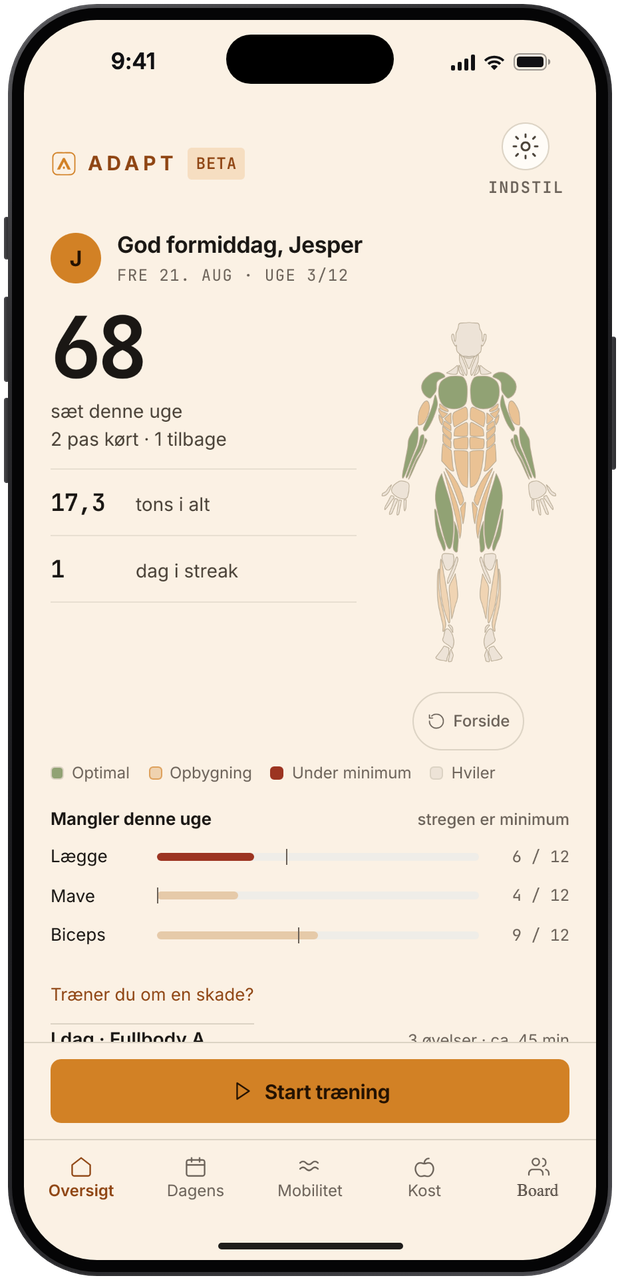 Træningsforsiden med ugens sæt og kroppen farvet efter volumen